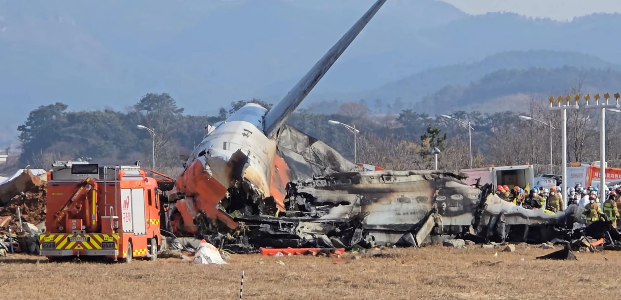 Jeju Air Crash Bird Strike: What Likely Happened and Next Steps