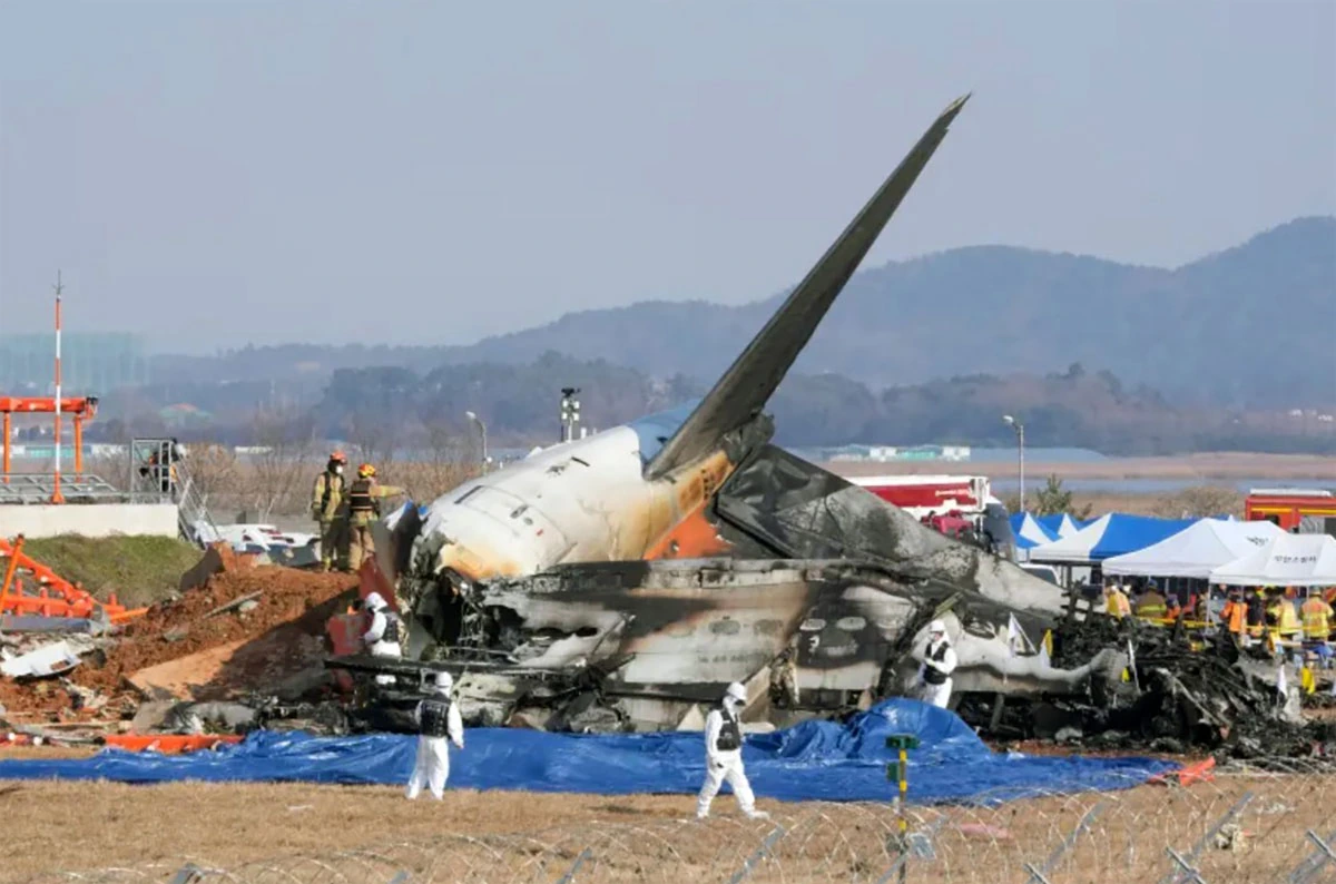 South Korea plane crash bird strike: What’s known and how to verify